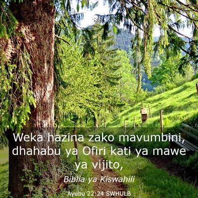 Picture 03 - Ayubu 22:24 SWHULB - Weka hazina zako mavumbini, dhahabu ya Ofiri kati - Bible Verse Picture