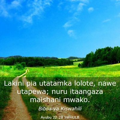 Picture 03 - Ayubu 22:28 SWHULB - Lakini pia utatamka lolote, nawe utapewa; nuru - Bible Verse Picture