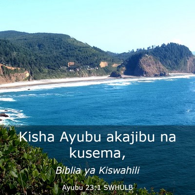Picture 03 - Ayubu 23:1 SWHULB - Kisha Ayubu akajibu na - Bible Verse Picture