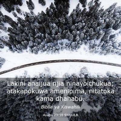 Picture 03 - Ayubu 23:10 SWHULB - Lakini anaijua njia ninayoichukua; atakapokuwa - Bible Verse Picture