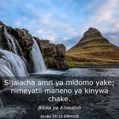 Picture 03 - Ayubu 23:12 SWHULB - Sijaiacha amri ya midomo yake; nimeyatii maneno - Bible Verse Picture
