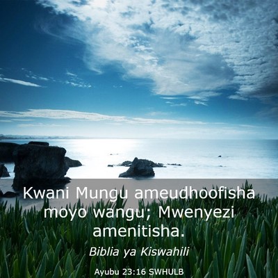 Picture 03 - Ayubu 23:16 SWHULB - Kwani Mungu ameudhoofisha moyo wangu; Mwenyezi - Bible Verse Picture