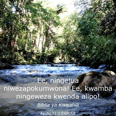 Picture 03 - Ayubu 23:3 SWHULB - Ee, ningejua niwezapokumwona! Ee, kwamba - Bible Verse Picture