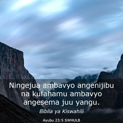 Picture 03 - Ayubu 23:5 SWHULB - Ningejua ambavyo angenijibu na kufahamu ambavyo - Bible Verse Picture
