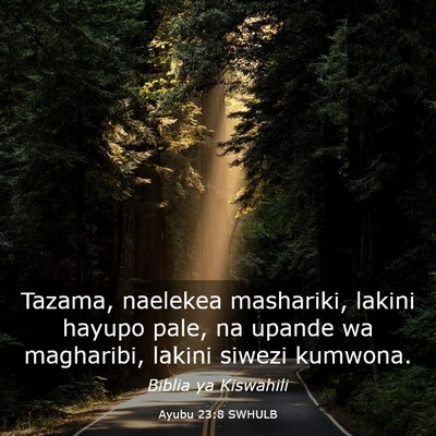 Picture 03 - Ayubu 23:8 SWHULB - Tazama, naelekea mashariki, lakini hayupo pale, - Bible Verse Picture