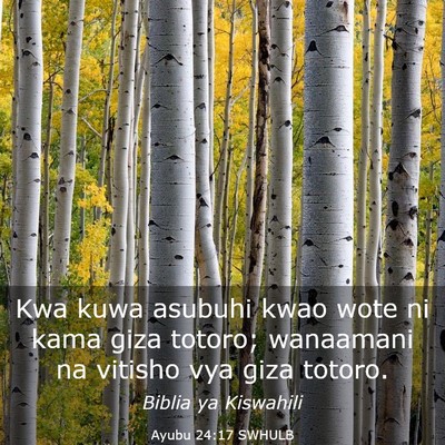 Picture 03 - Ayubu 24:17 SWHULB - Kwa kuwa asubuhi kwao wote ni kama giza totoro; - Bible Verse Picture