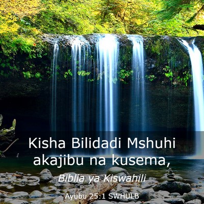 Picture 03 - Ayubu 25:1 SWHULB - Kisha Bilidadi Mshuhi akajibu na - Bible Verse Picture