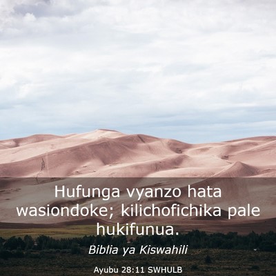 Picture 03 - Ayubu 28:11 SWHULB - Hufunga vyanzo hata wasiondoke; kilichofichika - Bible Verse Picture