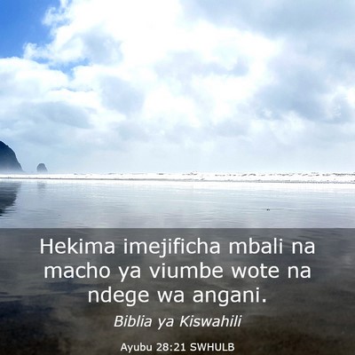 Picture 03 - Ayubu 28:21 SWHULB - Hekima imejificha mbali na macho ya viumbe wote - Bible Verse Picture