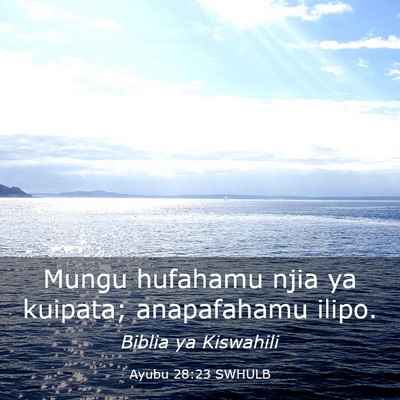 Picture 03 - Ayubu 28:23 SWHULB - Mungu hufahamu njia ya kuipata; anapafahamu - Bible Verse Picture