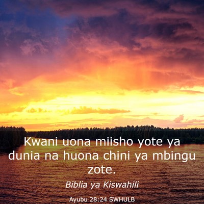 Picture 03 - Ayubu 28:24 SWHULB - Kwani uona miisho yote ya dunia na huona chini ya - Bible Verse Picture