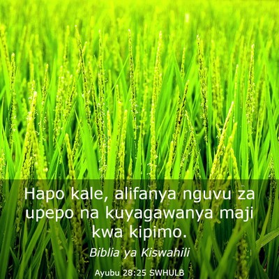 Picture 03 - Ayubu 28:25 SWHULB - Hapo kale, alifanya nguvu za upepo na kuyagawanya - Bible Verse Picture