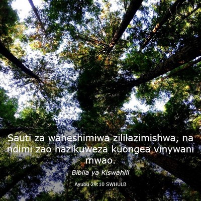 Picture 03 - Ayubu 29:10 SWHULB - Sauti za waheshimiwa zililazimishwa, na ndimi zao - Bible Verse Picture