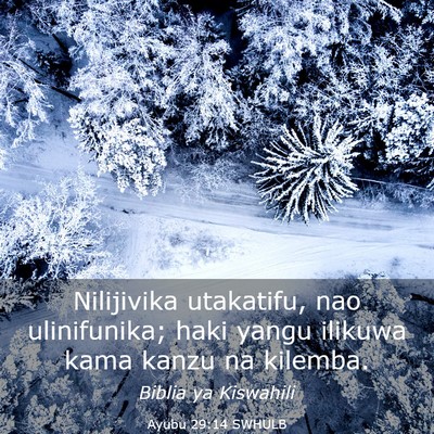 Picture 03 - Ayubu 29:14 SWHULB - Nilijivika utakatifu, nao ulinifunika; haki yangu - Bible Verse Picture