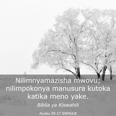 Picture 03 - Ayubu 29:17 SWHULB - Nilimnyamazisha mwovu; nilimpokonya manusura - Bible Verse Picture