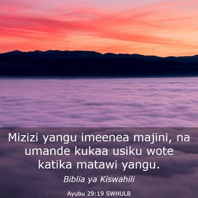 Picture 03 - Ayubu 29:19 SWHULB - Mizizi yangu imeenea majini, na umande kukaa - Bible Verse Picture