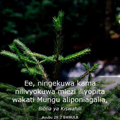 Picture 03 - Ayubu 29:2 SWHULB - Ee, ningekuwa kama nilivyokuwa miezi iliyopita - Bible Verse Picture