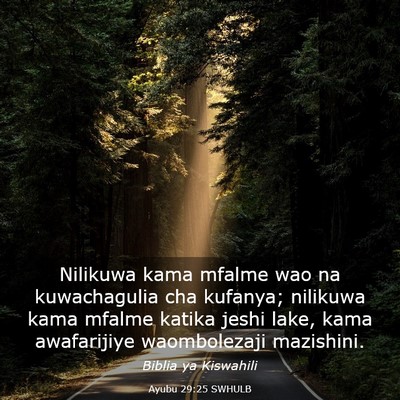 Picture 03 - Ayubu 29:25 SWHULB - Nilikuwa kama mfalme wao na kuwachagulia cha - Bible Verse Picture