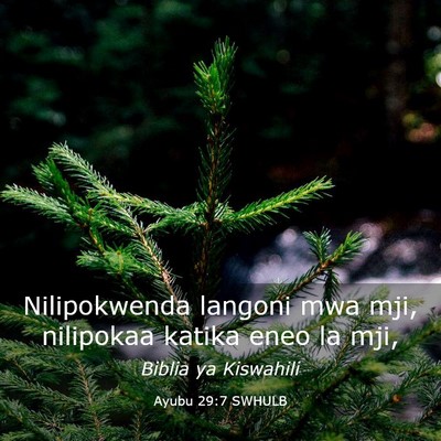 Picture 03 - Ayubu 29:7 SWHULB - Nilipokwenda langoni mwa mji, nilipokaa katika - Bible Verse Picture