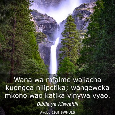 Picture 03 - Ayubu 29:9 SWHULB - Wana wa mfalme waliacha kuongea nilipofika; - Bible Verse Picture