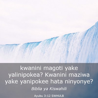Picture 03 - Ayubu 3:12 SWHULB - kwanini magoti yake yalinipokea? Kwanini maziwa - Bible Verse Picture