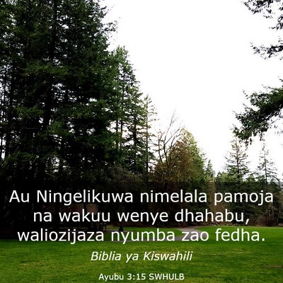 Picture 03 - Ayubu 3:15 SWHULB - Au Ningelikuwa nimelala pamoja na wakuu wenye - Bible Verse Picture