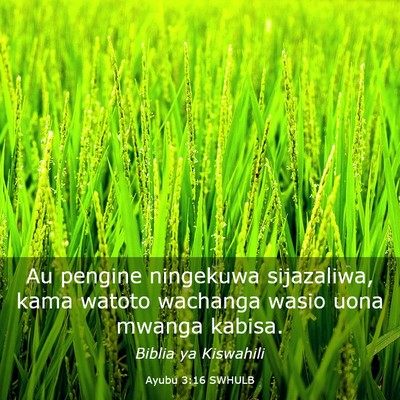 Picture 03 - Ayubu 3:16 SWHULB - Au pengine ningekuwa sijazaliwa, kama watoto - Bible Verse Picture