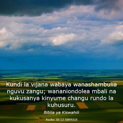 Picture 03 - Ayubu 30:12 SWHULB - Kundi la vijana wabaya wanashambulia nguvu zangu; - Bible Verse Picture