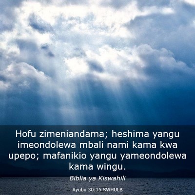 Picture 03 - Ayubu 30:15 SWHULB - Hofu zimeniandama; heshima yangu imeondolewa - Bible Verse Picture
