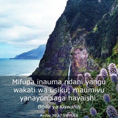 Picture 03 - Ayubu 30:17 SWHULB - Mifupa inauma ndani yangu wakati wa usiku; - Bible Verse Picture