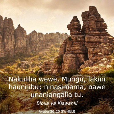Picture 03 - Ayubu 30:20 SWHULB - Nakulilia wewe, Mungu, lakini haunijibu; - Bible Verse Picture