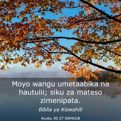Picture 03 - Ayubu 30:27 SWHULB - Moyo wangu umetaabika na hautulii; siku za mateso - Bible Verse Picture