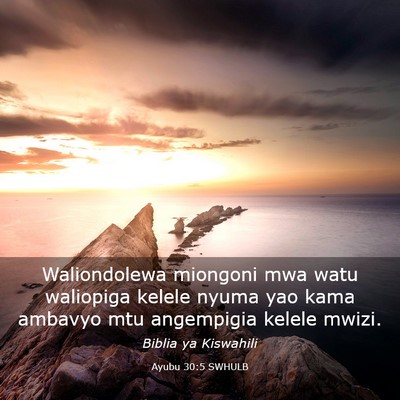 Picture 03 - Ayubu 30:5 SWHULB - Waliondolewa miongoni mwa watu waliopiga kelele - Bible Verse Picture