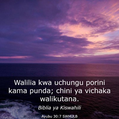 Picture 03 - Ayubu 30:7 SWHULB - Walilia kwa uchungu porini kama punda; chini ya - Bible Verse Picture