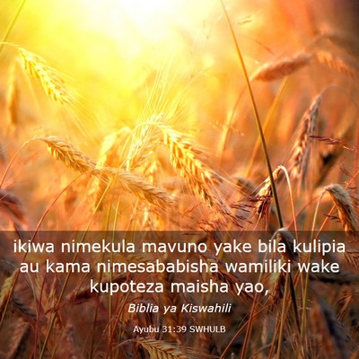 Picture 03 - Ayubu 31:39 SWHULB - ikiwa nimekula mavuno yake bila kulipia au kama - Bible Verse Picture