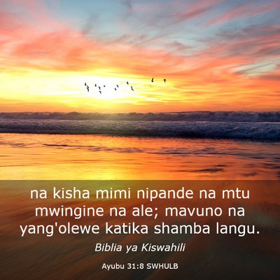 Picture 03 - Ayubu 31:8 SWHULB - na kisha mimi nipande na mtu mwingine na ale; - Bible Verse Picture
