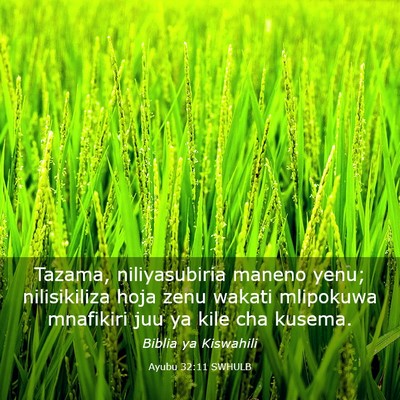 Picture 03 - Ayubu 32:11 SWHULB - Tazama, niliyasubiria maneno yenu; nilisikiliza - Bible Verse Picture