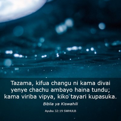 Picture 03 - Ayubu 32:19 SWHULB - Tazama, kifua changu ni kama divai yenye chachu - Bible Verse Picture