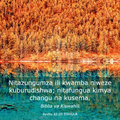 Picture 03 - Ayubu 32:20 SWHULB - Nitazungumza ili kwamba niweze kuburudishwa; - Bible Verse Picture
