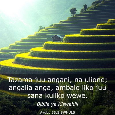 Picture 03 - Ayubu 35:5 SWHULB - Tazama juu angani, na ulione; angalia anga, - Bible Verse Picture