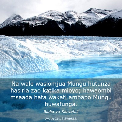 Picture 03 - Ayubu 36:13 SWHULB - Na wale wasiomjua Mungu hutunza hasiria zao - Bible Verse Picture