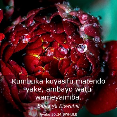 Picture 03 - Ayubu 36:24 SWHULB - Kumbuka kuyasifu matendo yake, ambayo watu - Bible Verse Picture