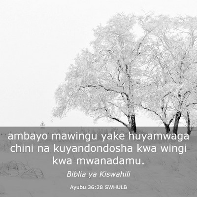 Picture 03 - Ayubu 36:28 SWHULB - ambayo mawingu yake huyamwaga chini na - Bible Verse Picture