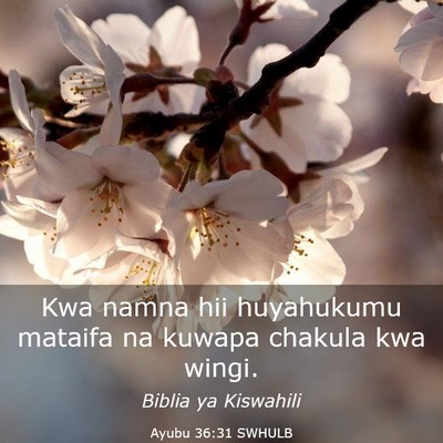 Picture 03 - Ayubu 36:31 SWHULB - Kwa namna hii huyahukumu mataifa na kuwapa - Bible Verse Picture