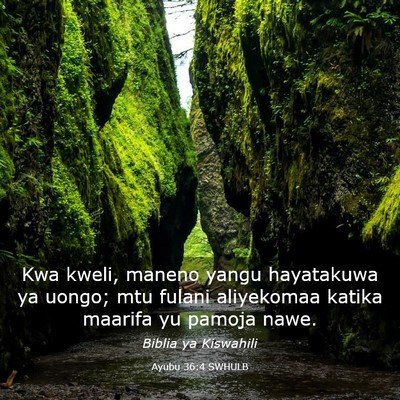 Picture 03 - Ayubu 36:4 SWHULB - Kwa kweli, maneno yangu hayatakuwa ya uongo; mtu - Bible Verse Picture