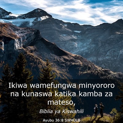 Picture 03 - Ayubu 36:8 SWHULB - Ikiwa wamefungwa minyororo na kunaswa katika - Bible Verse Picture