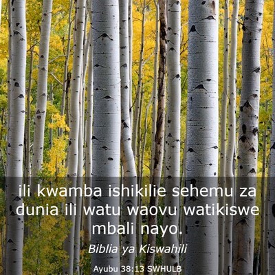 Picture 03 - Ayubu 38:13 SWHULB - ili kwamba ishikilie sehemu za dunia ili watu - Bible Verse Picture