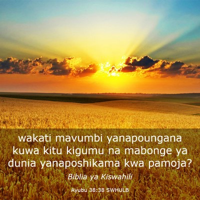 Picture 03 - Ayubu 38:38 SWHULB - wakati mavumbi yanapoungana kuwa kitu kigumu na - Bible Verse Picture