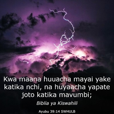 Picture 03 - Ayubu 39:14 SWHULB - Kwa maana huuacha mayai yake katika nchi, na - Bible Verse Picture