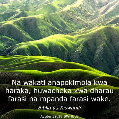 Picture 03 - Ayubu 39:18 SWHULB - Na wakati anapokimbia kwa haraka, huwacheka kwa - Bible Verse Picture